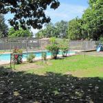 View of the pool from the play area between the swimming pool and The Discovery Building.  