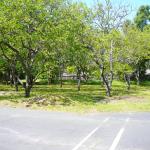 The Persimmon orchard area